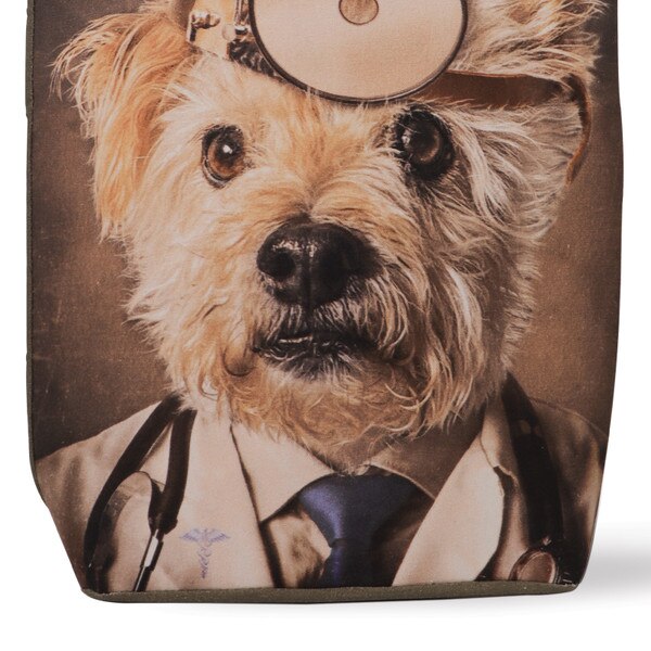 Stanley Dog Bag